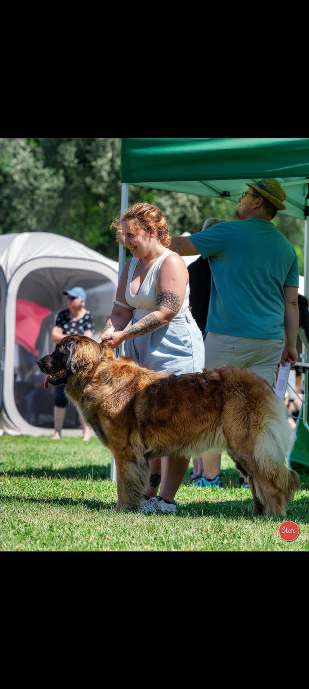CH. Sitrouille dite shallow des Neuf Grains d'Or