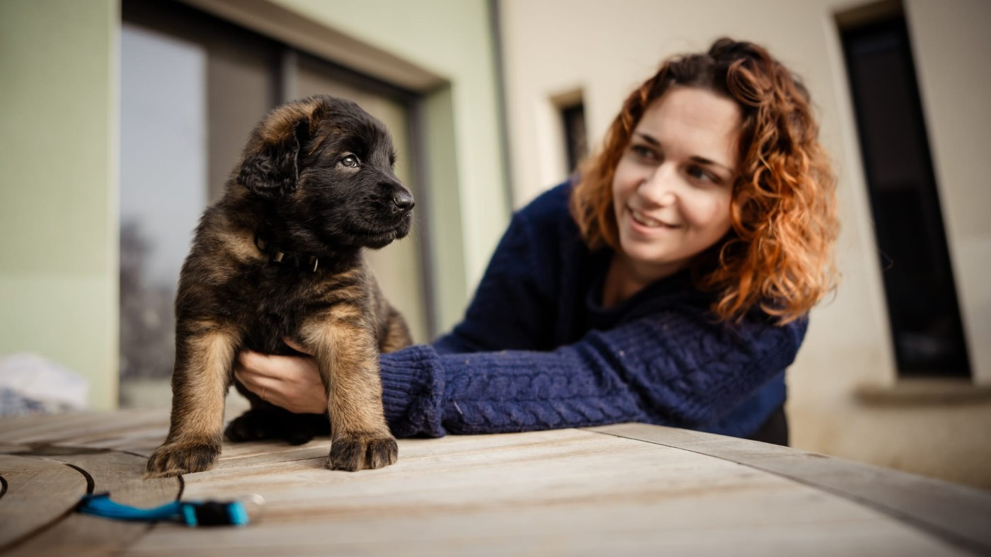 Bientôt l'identification pour les petits bouts .